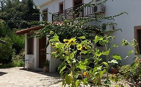 Alekos Rooms And Apartments
